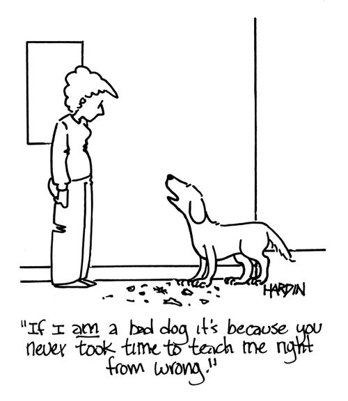 'If I am a bad dog, it's because you never took time to teach me right from wrong.'