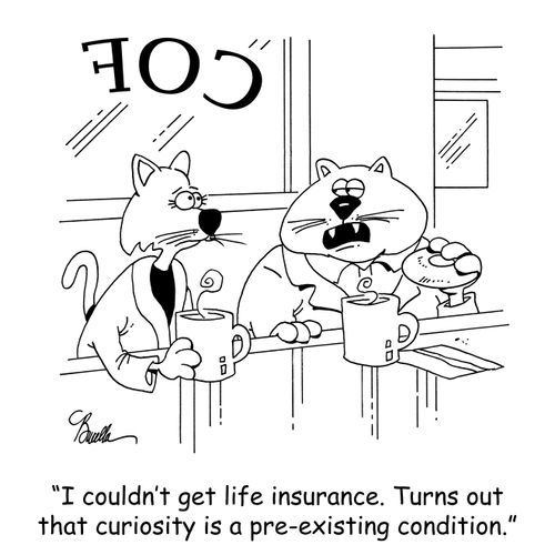 'I couldn't get life insurance. Turns out that curiosity is a pre-existing condition.'