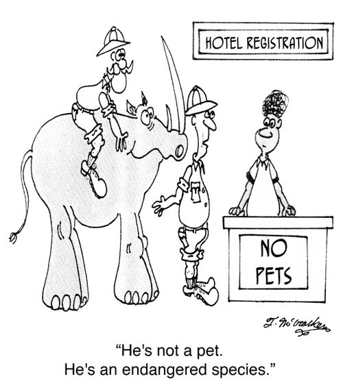 'He's not a pet. He's an endangered species.'