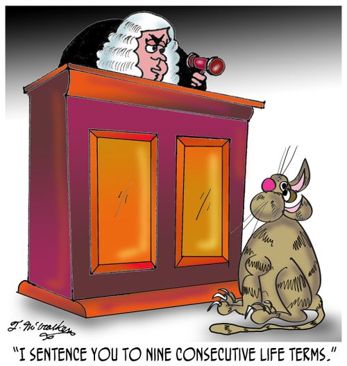 'I sentence you to nine consecutive life terms.'