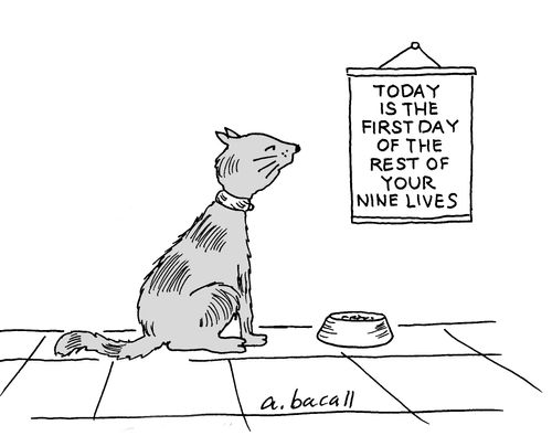 Today is the first day of the rest of your nine lives.