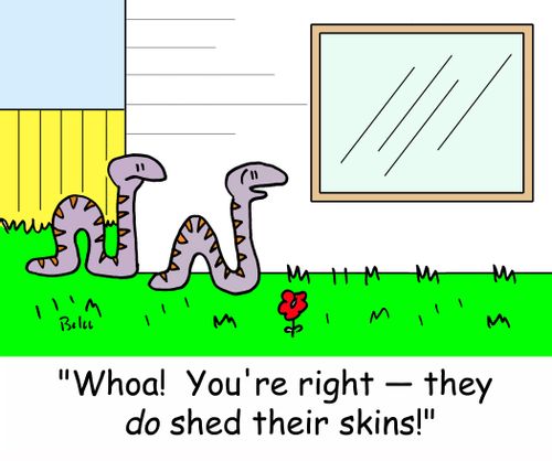 'Whoa! You're right - they DO shed their skins!'