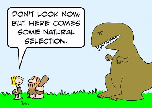'Don't look now, but here comes some natural selection.'