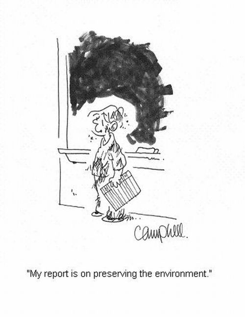 'My report is on preserving the environment.'