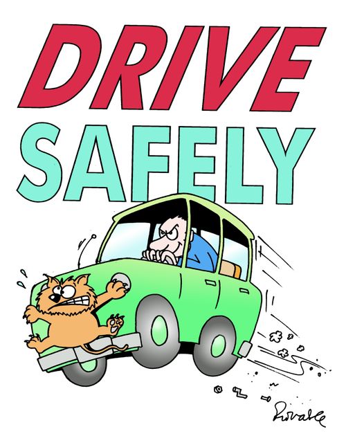 Drive safely.
