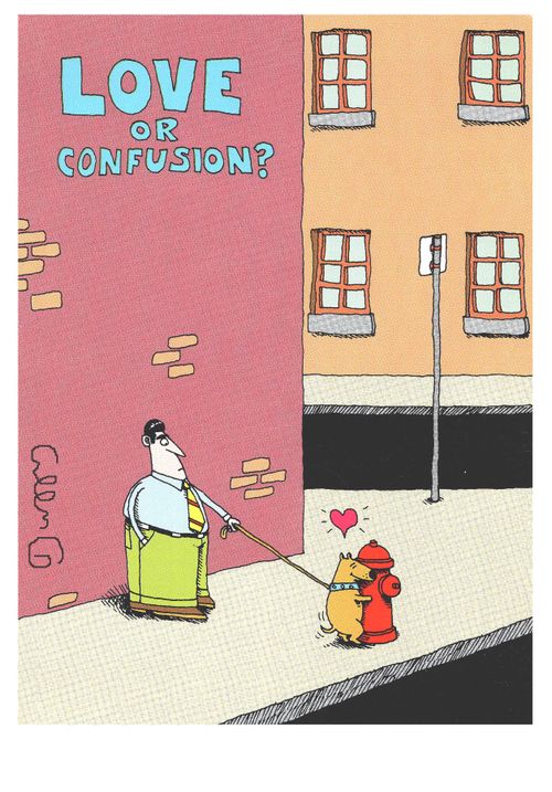 Love or Confusion?
