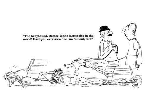 'The Greyhound, Doctor, is the fastest dog in the world!...'
