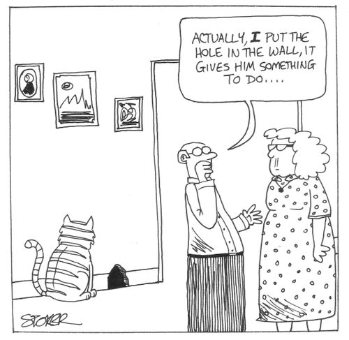 'Actually, I put the hole in the wall, it gives him something to do...'