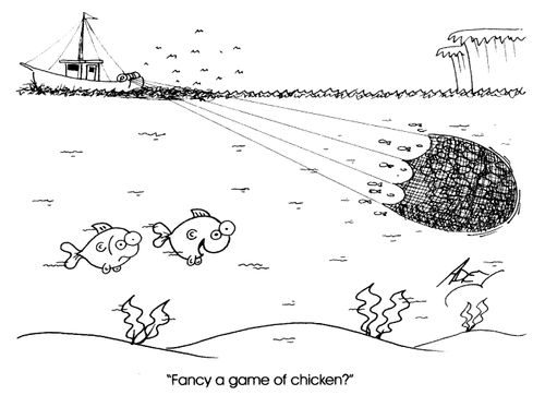"Fancy a game of chicken?"