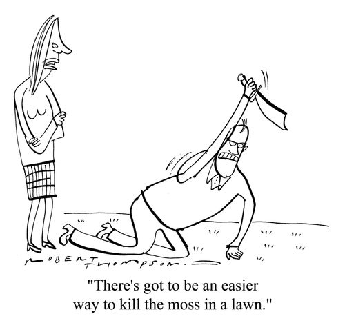 "There's got to be an easier way to kill the moss in a lawn"