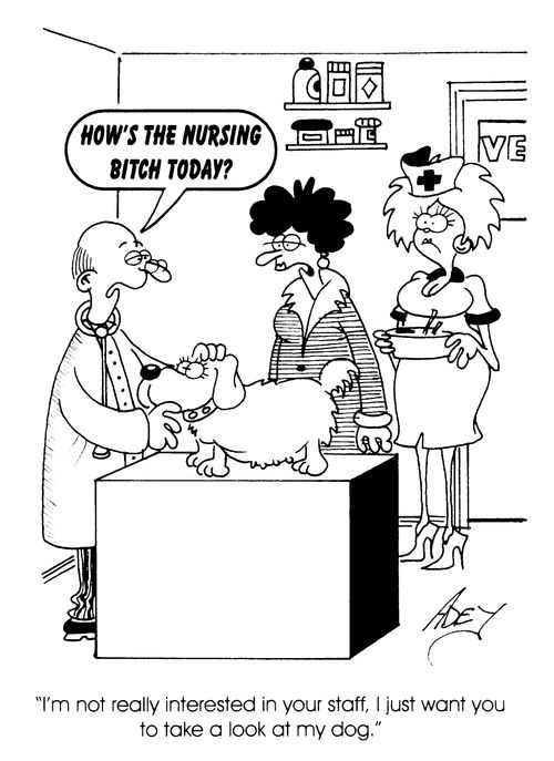 'How's the nursing bitch today..'