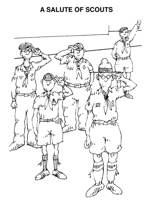 A salute of scouts