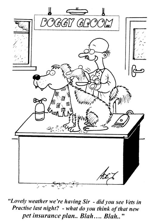Dog's hairdresser.