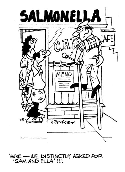 'ere - we distinctly asked for Sam and Ella!'