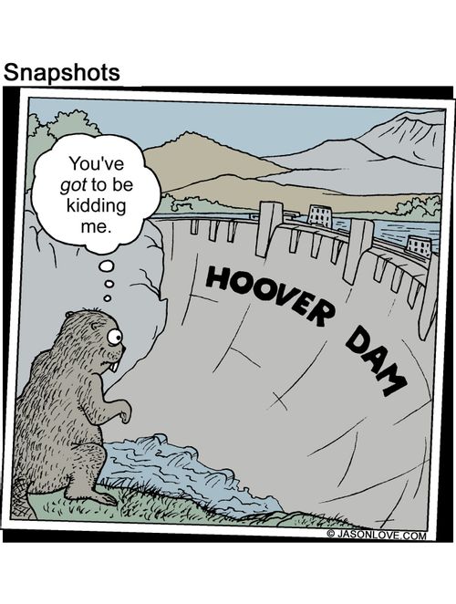 Beaver looking at the Hoover dam thinking 'You've got to be kidding me.'