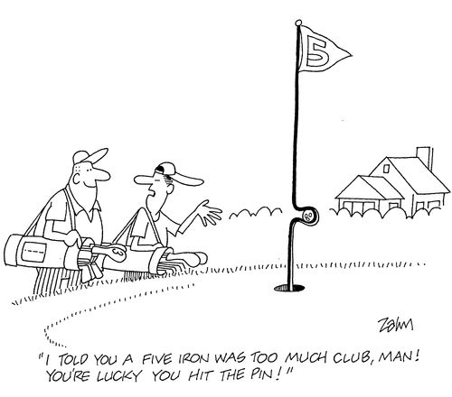 'I told you a five iron was too much club, man!  You're lucky you hit the pin!'