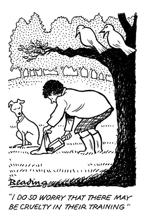 'I do so worry that there may be cruelty in their training.'