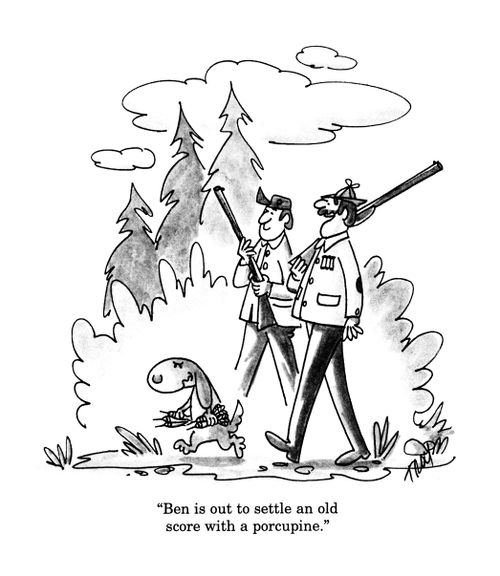 'Ben is out to settle an old score with a porcupine.'