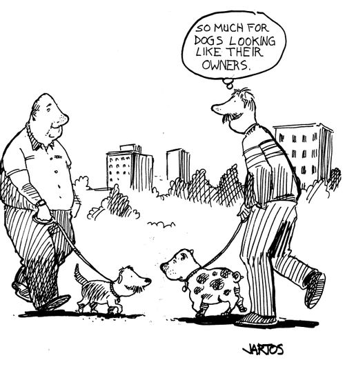 'So much for dogs looking like their owners'