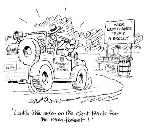 'Looks like we're on the right track for the rain forest!'