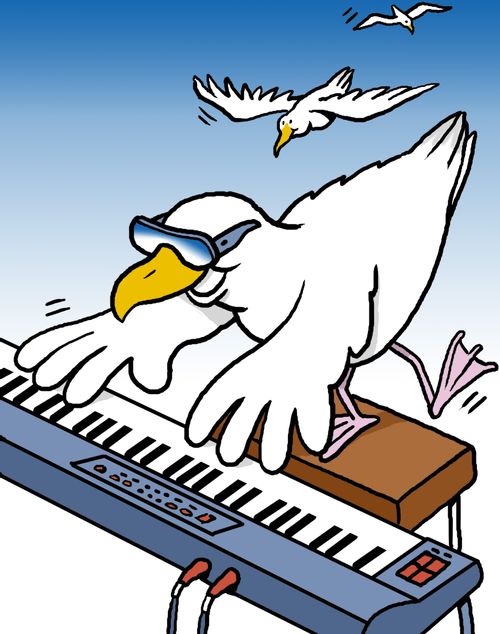 cool seagull plays electric piano