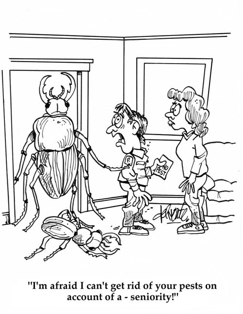 'I'm afraid I can't get rid of your pests on account of a - seniority!'