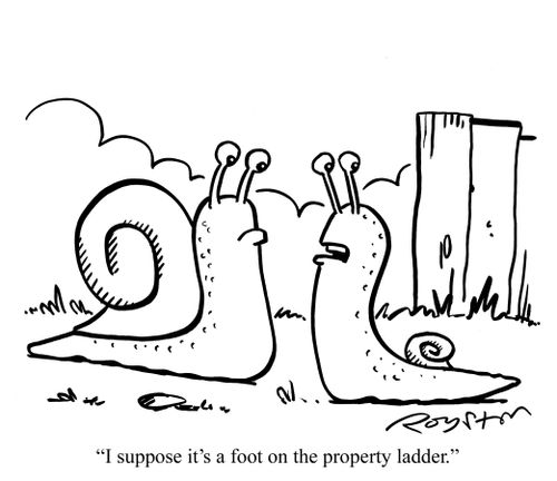 Snail with a tiny shell says: 'I suppose it's a foot on the property ladder.'