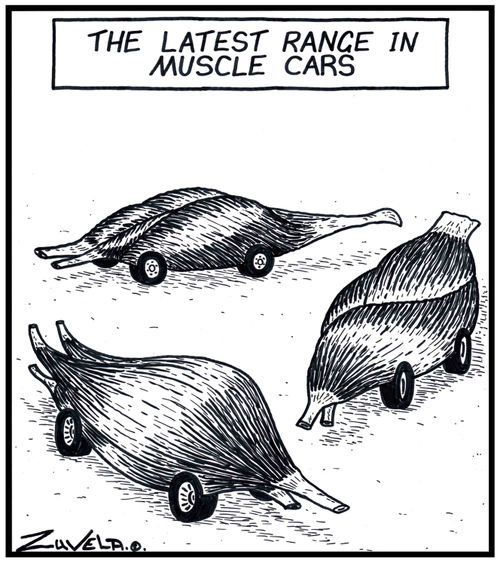 The latest range in Muscle cars.
