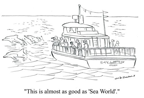 'This is almost as good as 'Sea World'.'