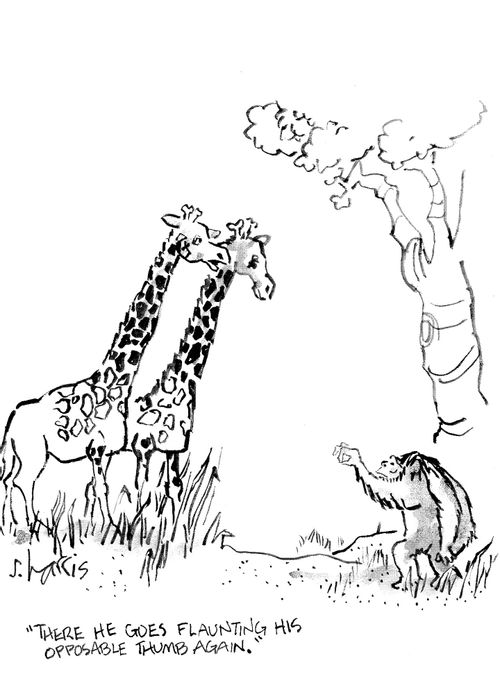 'There he goes, flaunting his opposable thumb again.'