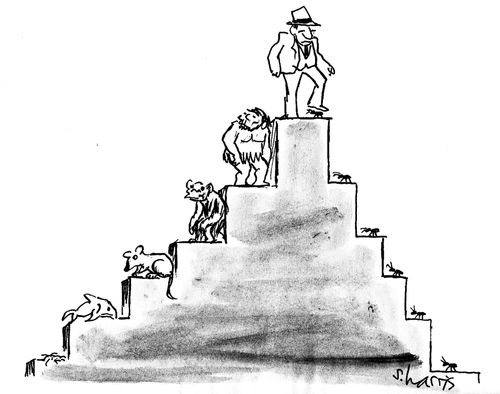 Evolution steps for man and for insect.