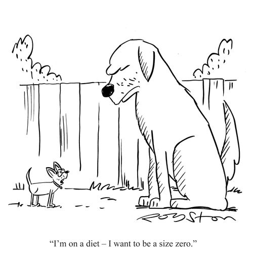 Chihuahua says to large dog: 'I'm on a diet - I want to be a size zero.'
