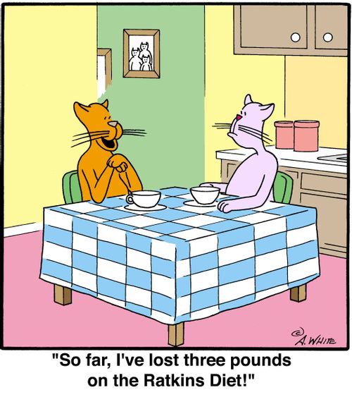 'So far, I've lost three pounds on the Ratkins Diet!'