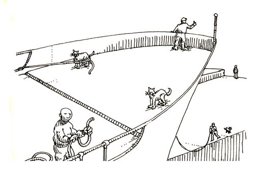 101 uses of a dead cat: mooring post.