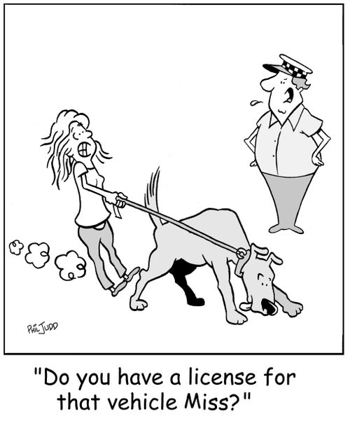 'Do you have a license for that vehivle Miss?'