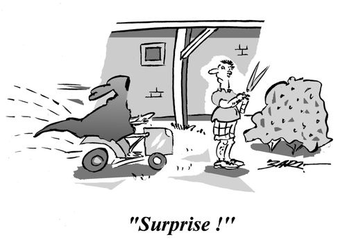 'Surprise!'