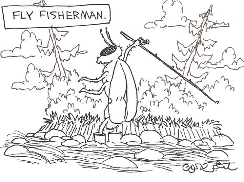 Fly Fisherman.