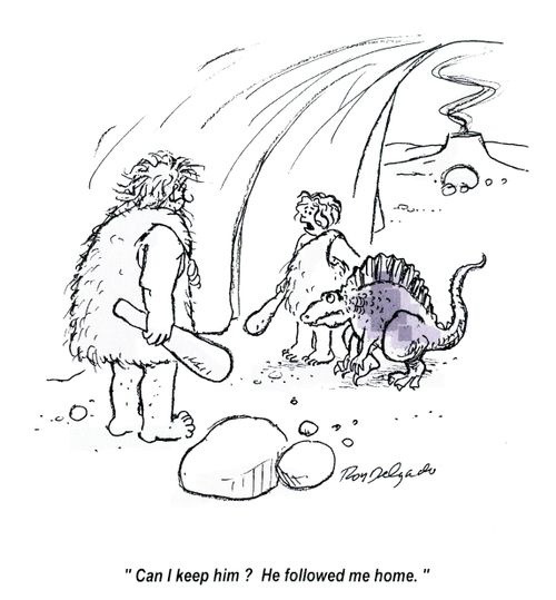 'Can I keep him? He followed me home.'