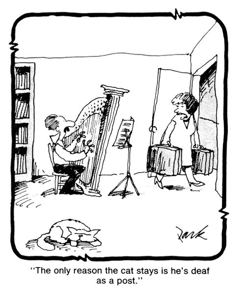 'The only reason the cat stays is he's deaf as a post.'