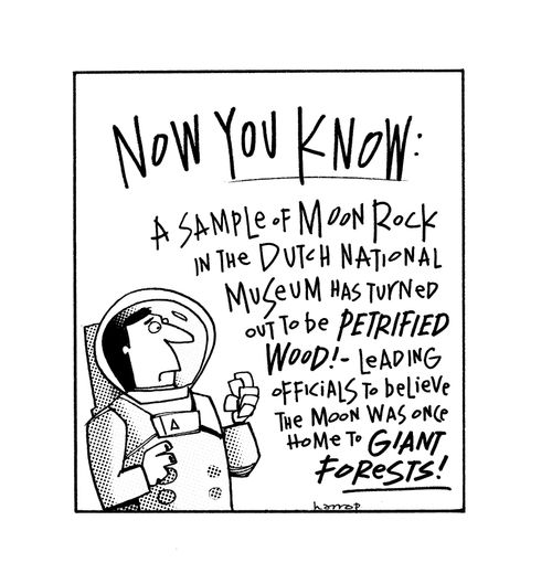 Moon Rock.