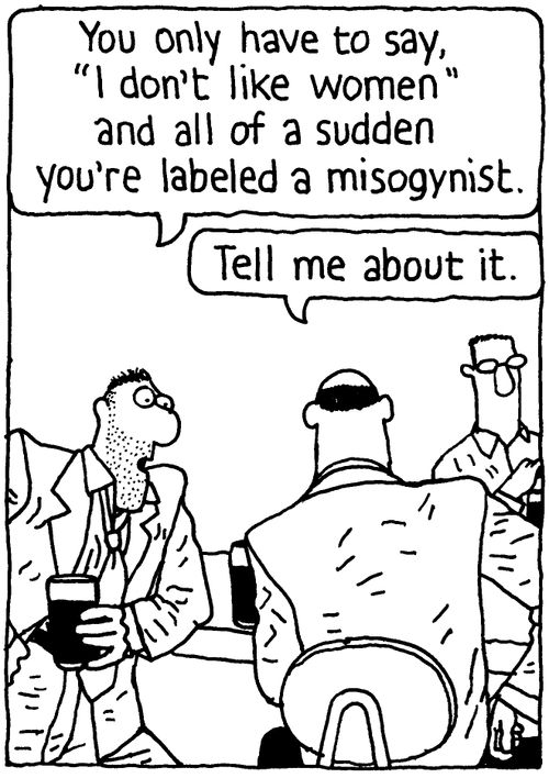 'You only have to say, 'I don't like women' and all of a sudden you're labeled a misogynist.' 'Tell me about it.'