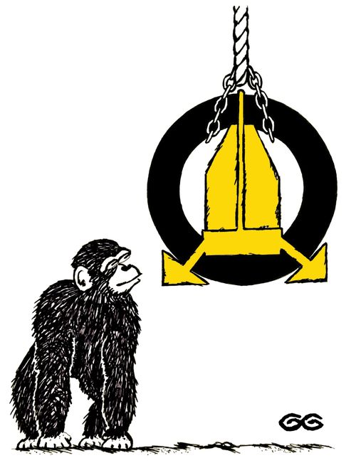 Monkey with clamped wheel swing.