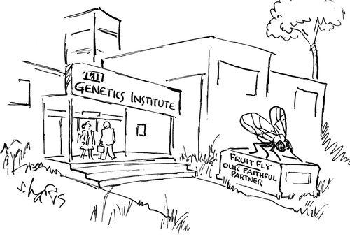 Genetics Institute - Fruit Fly, Our Faithful Partner.