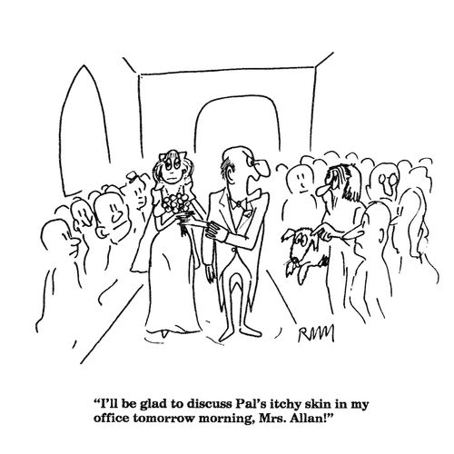 'I'll be glad to discuss Pal's itchy skin in my office tomorrow morning, Mrs. Allan!'