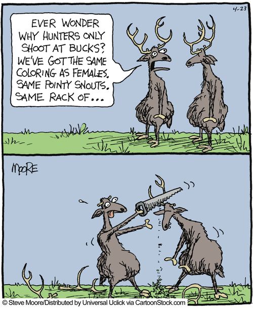 'Ever wonder why hunters only shoot at bucks? We've got the same coloring as females. same pointy snouts. Same rack of...'