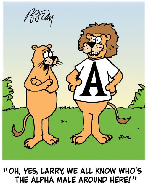 'Oh, yes, Larry, we all know who's the Alpha male around here!'