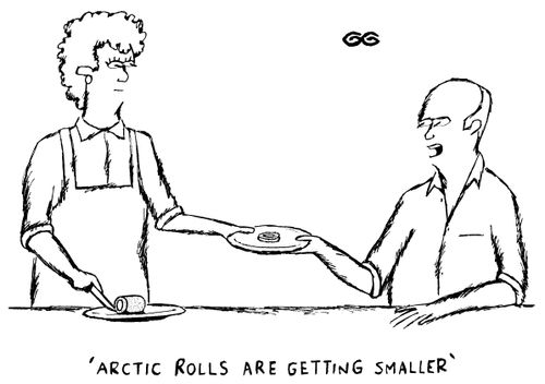 'Arctic Rolls are getting smaller.'