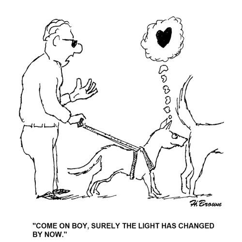 "Come on boy, surely the light has changed by now."