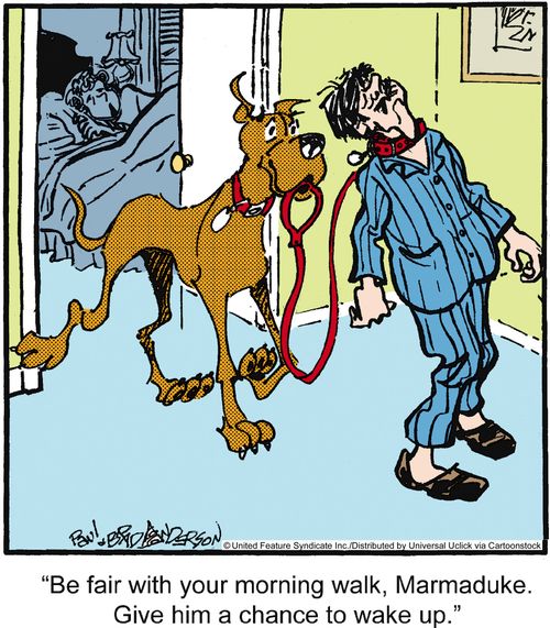 'Be fair with your morning walk, Marmaduke. Give him a chance to wake up.'