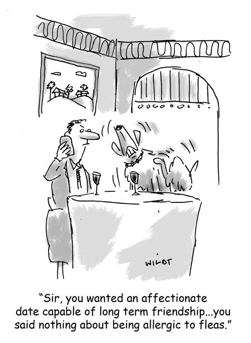 'Sir, you wanted an affectionate date capable of long term friendship...you said nothing about being allergic to fleas.'